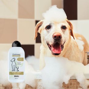 Hundeshampoo