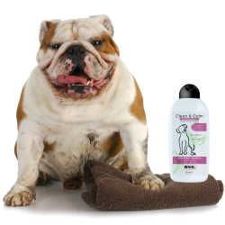 Hundeshampoo til mild vask