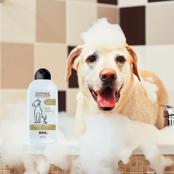 Hundeshampoo til tr og irriteret hud