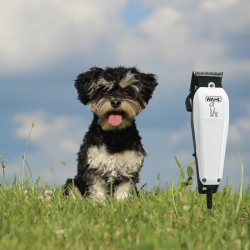 Hundeklipper Starter